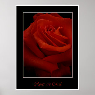 Póster poster de rosas rojas