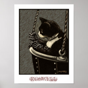 Póster Poster de Roswell