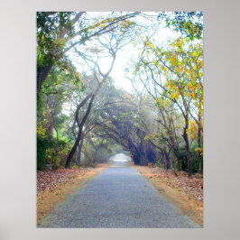 Póster poster de ruta de acceso de naturas