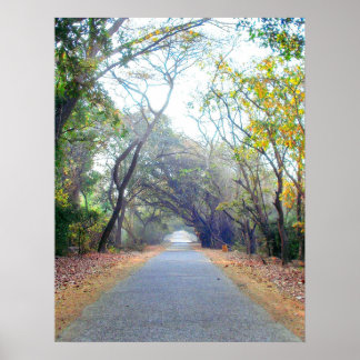Póster poster de ruta de acceso de naturas