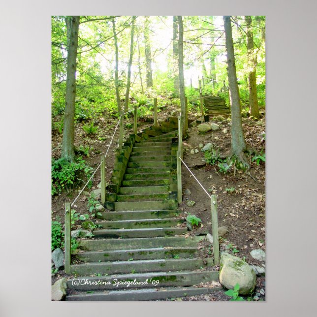 Póster Poster de ruta de las escaleras de bosque (Frente)