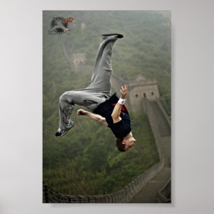 Póster Poster de Ryan Doyle - Gran Muralla China