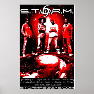 Póster Poster de S.T.O.R.M.