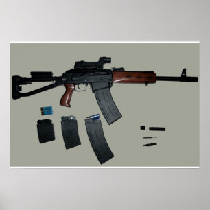 Póster Poster de Saiga 12