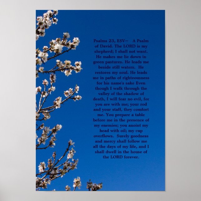 Póster Poster de Salmos 23 (Frente)