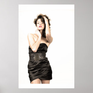 Póster Poster de salón perfecto