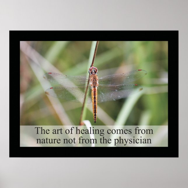 Póster Poster de salud de citas y declaraciones quiroprác (Frente)