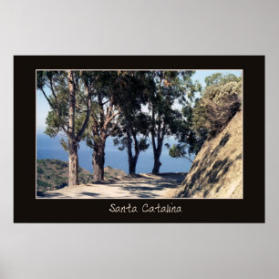 Póster Poster de Santa Catalina
