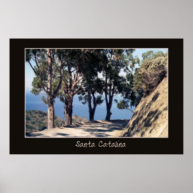 Póster Poster de Santa Catalina (Frente)