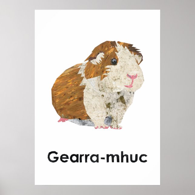 Póster Poster de Sco-Gearra-mhuc (Frente)