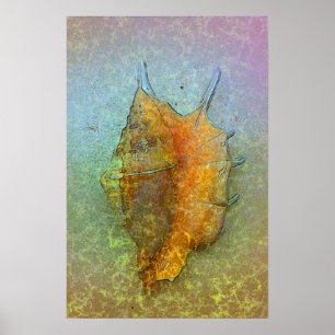 PÓSTER POSTER DE SEASHELL