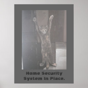 Póster Poster de seguridad de Cat