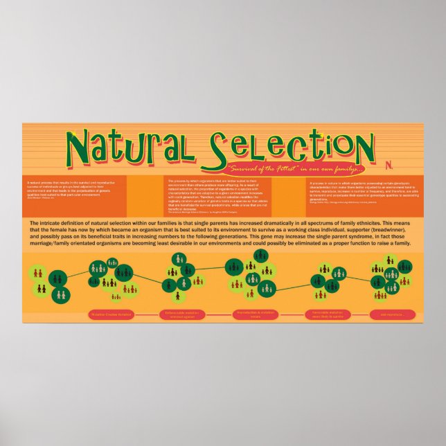 Póster Poster de selección natural (Frente)
