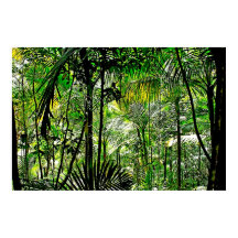 Poster de selva tropical