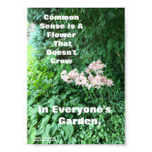 POSTER DE SENTIDO COMÚN