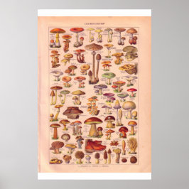 Póster Poster de setas de época 1920