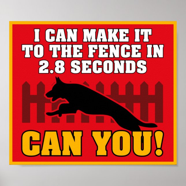 Póster Poster de Shepherd de Alemania (Frente)