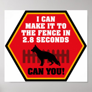 Póster Poster de Shepherd de Alemania