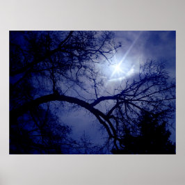 Póster Poster de silueta de árbol de tamaño de pared