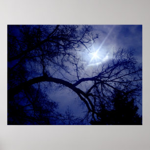 Póster Poster de silueta de árbol de tamaño de pared