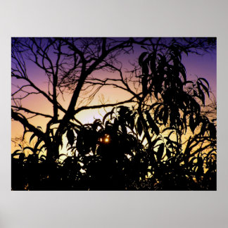 Póster Poster de silueta natural
