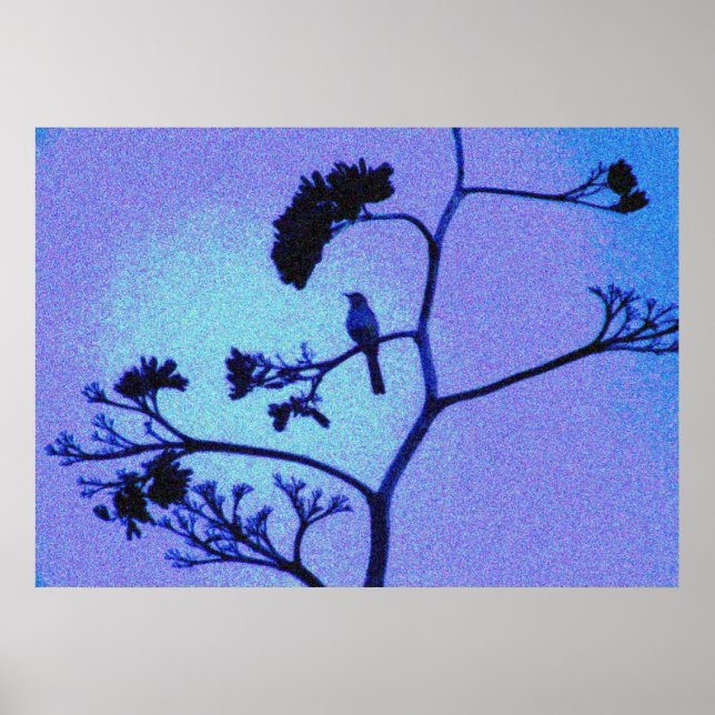 Póster poster de sinsonte (Frente)