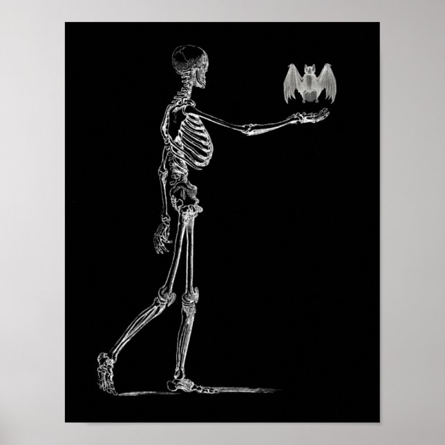 Póster Poster de Skeleton y Bat (Frente)