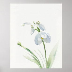Póster Poster de Snowdrop January