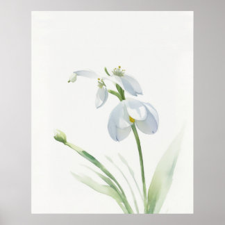 Póster Poster de Snowdrop January