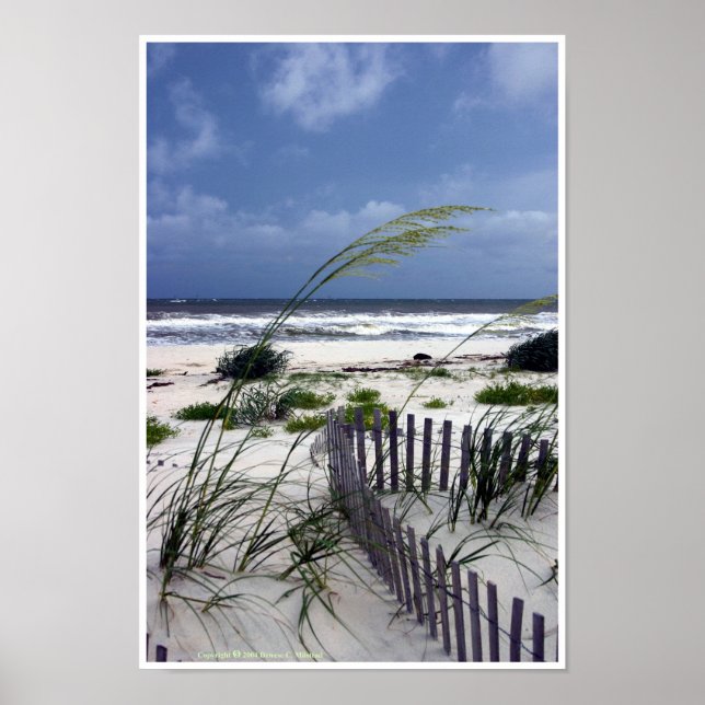 Póster Poster de soledad (Frente)