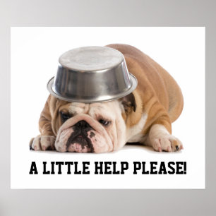 Póster Poster de solicitud de ayuda