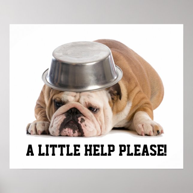 Póster Poster de solicitud de ayuda (Frente)