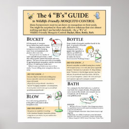 Póster Poster de soluciones para mosquitos amigables para