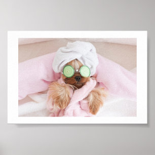 Póster poster de spa de perros / perritos