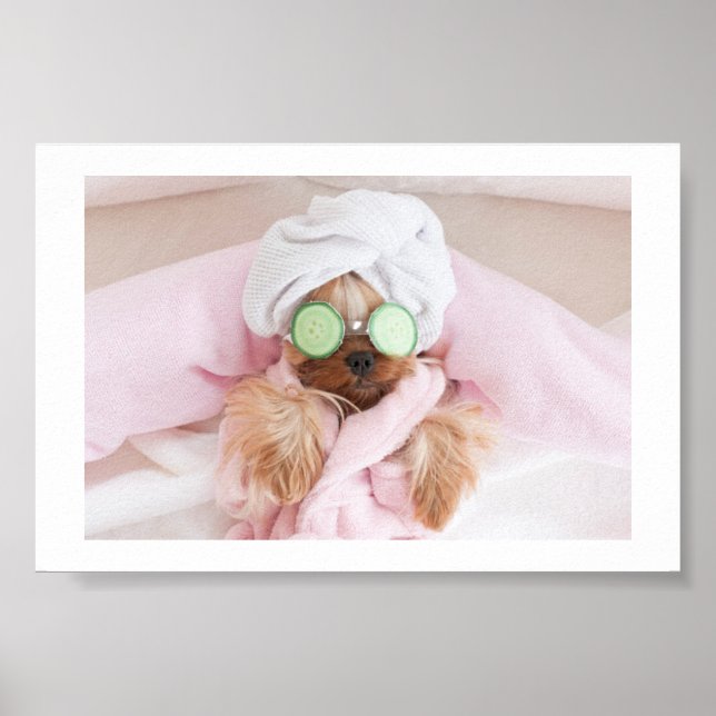 Póster poster de spa de perros / perritos (Frente)