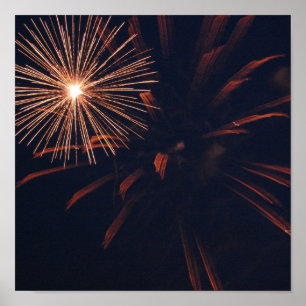 Póster Poster de Spider Firework