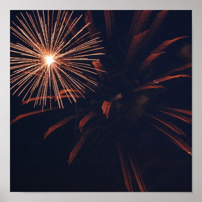 Póster Poster de Spider Firework (Frente)