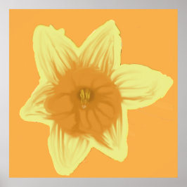Póster Poster de Square Daffodil