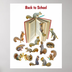 Póster Poster de Squirrel School