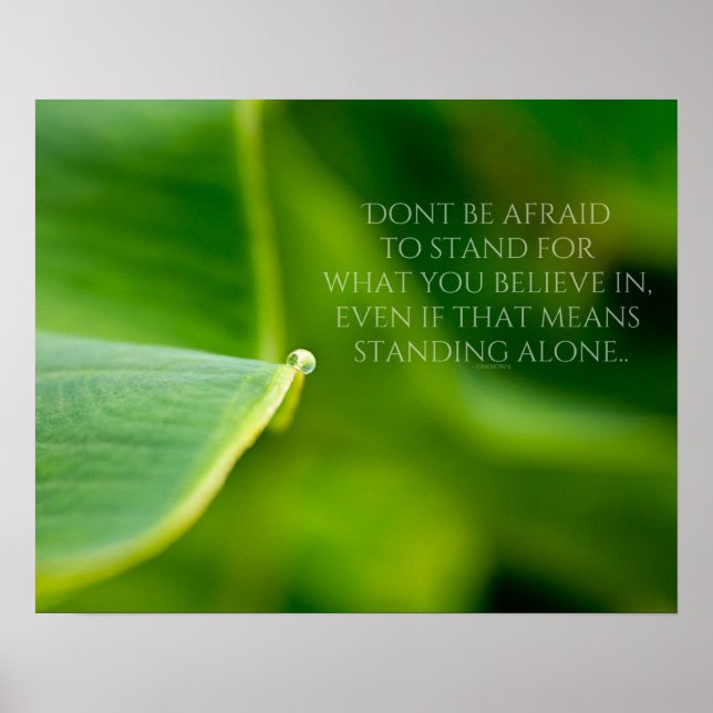 Póster Poster de Stand Up (Frente)