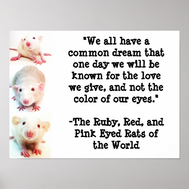 Póster Poster de sueño común (Frente)