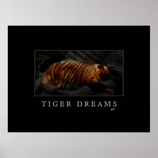 Póster Poster de Sueños de Tigre (Frente)