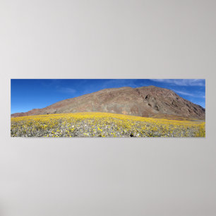 Póster Poster de superflorecimiento del Valle de la Muert
