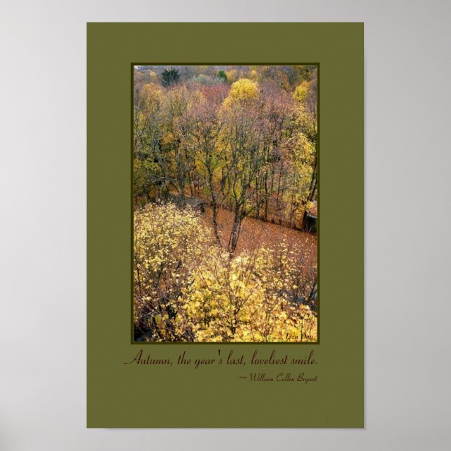 Póster poster de tablas de cotizaciones de 'Sueños de Oto (Frente)