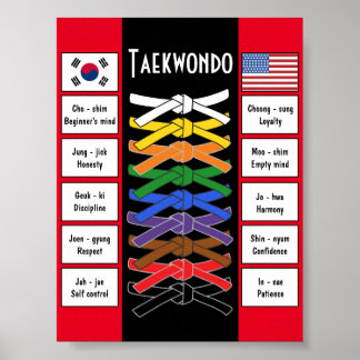 Póster Poster de Taekwondo