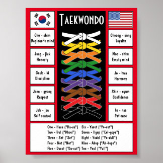 Póster Poster de Taekwondo