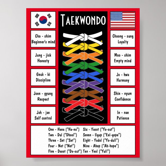 Póster Poster de Taekwondo (Frente)