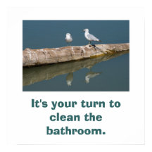 Poster de Talking Gull