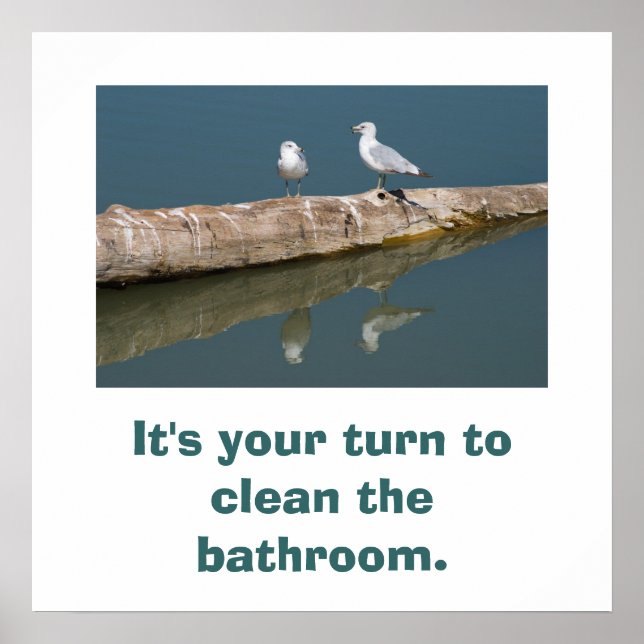 Póster Poster de Talking Gull (Frente)