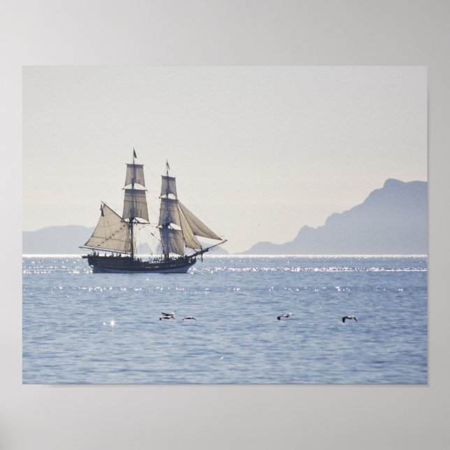 Póster Poster de Tall ship Lady Washington (Frente)